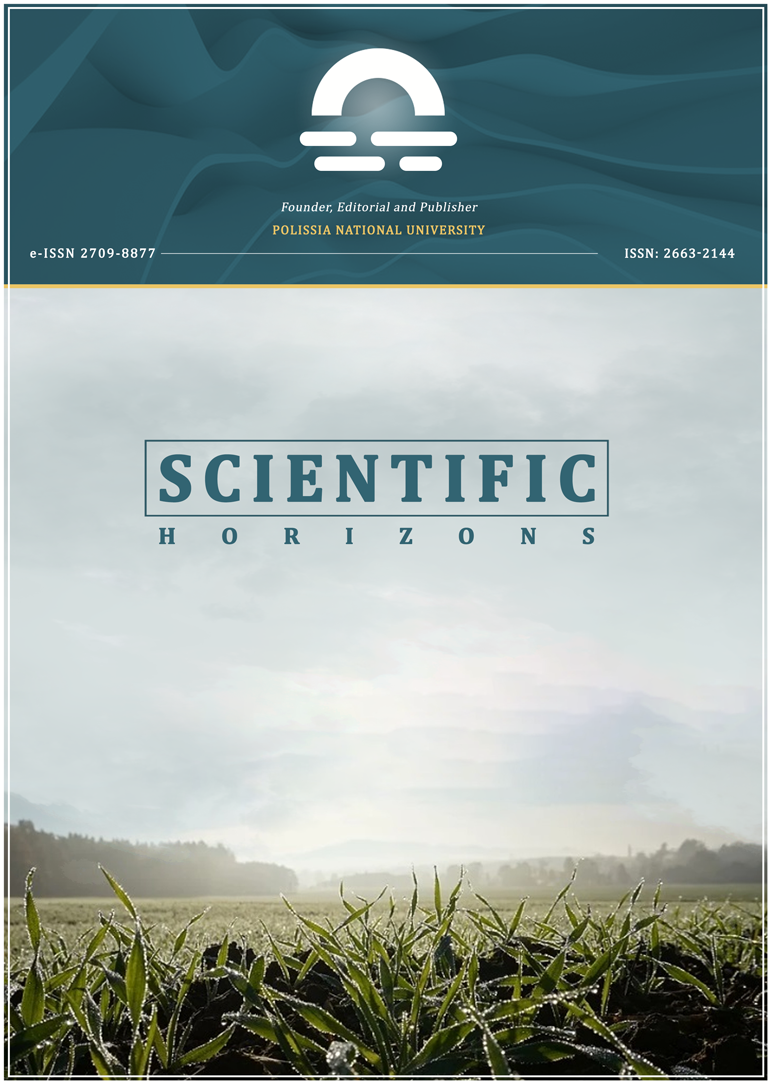 Vol. 28, No. 12, 2025